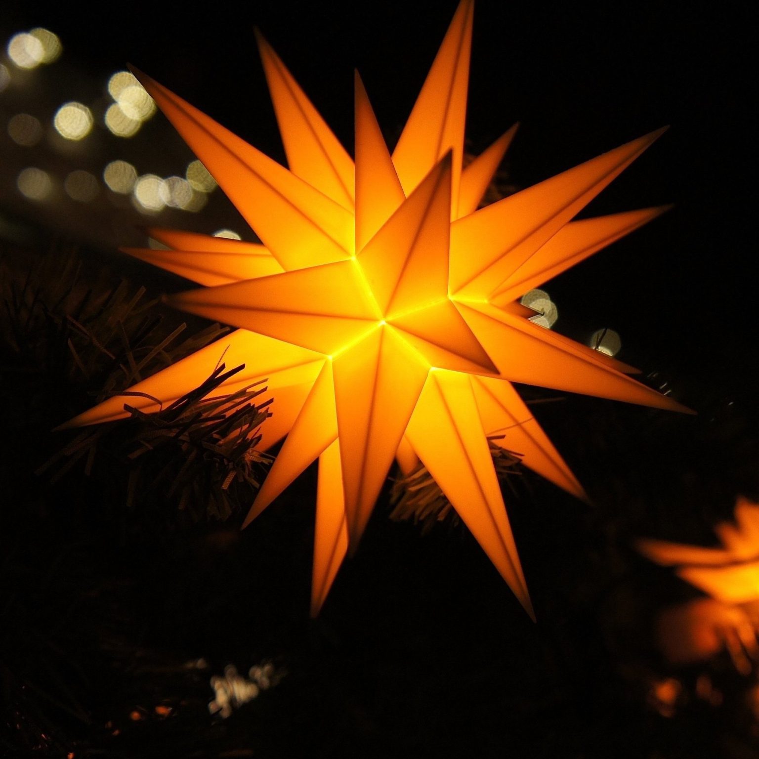 Eine frohe Advents- und Weihnachtszeit! – Wissenschaftlicher Verein